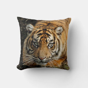 Tiger 037 cushion