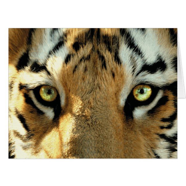 Tiger 1 - Greeting Card (Front Horizontal)