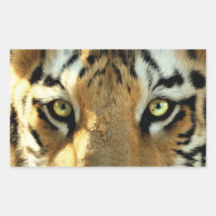Tiger 1 - Sticker