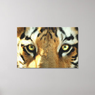 Tiger 1 - Wrapped Canvas