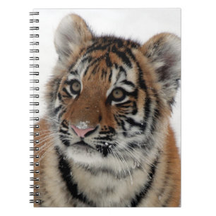 Tiger_2015_0114 Notebook