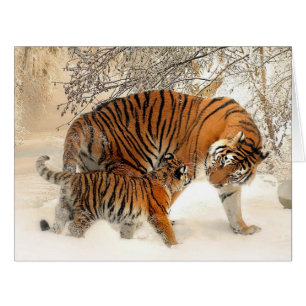 Tiger_2015_0125