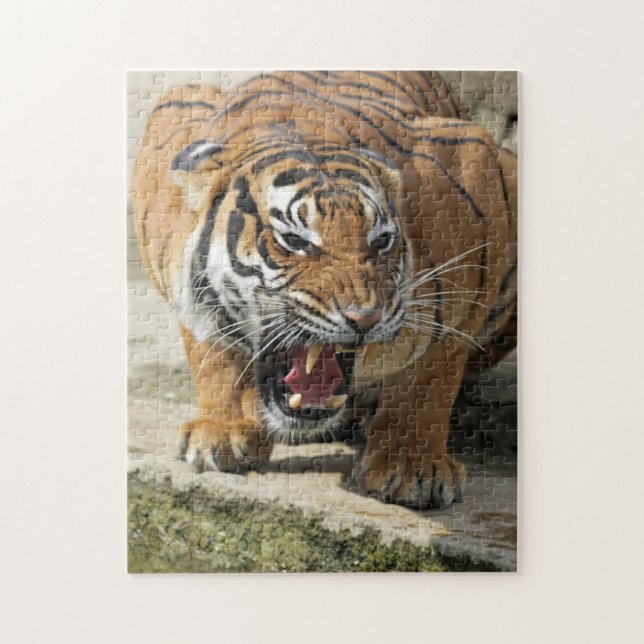 Tiger_2015_0156 Jigsaw Puzzle (Vertical)