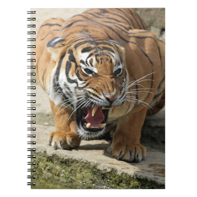 Tiger_2015_0156 Notebook (Front)