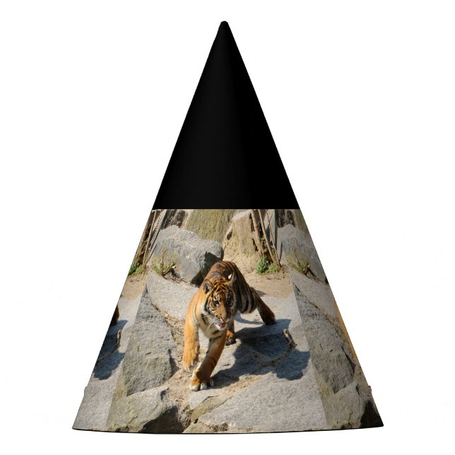 Tiger_20190302_by_JAMFoto Party Hat (Front)