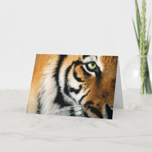 Tiger 2 - Greeting Card