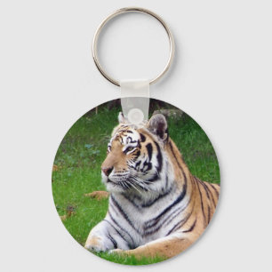 tiger 2 key ring
