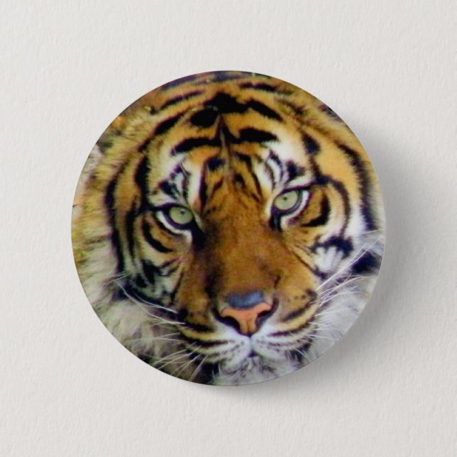Tiger_ 6 Cm Round Badge (Front)