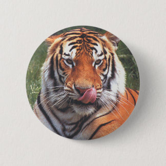 Tiger 6 Cm Round Badge