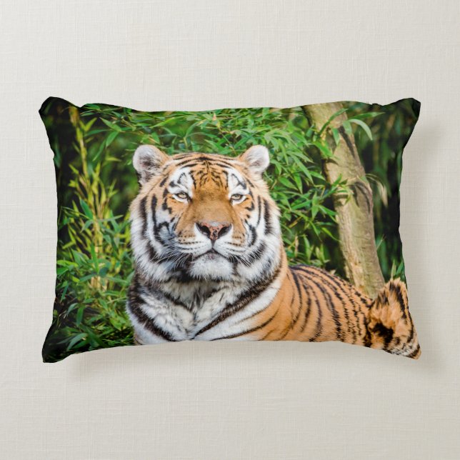 Tiger Accent Pillow (Front)