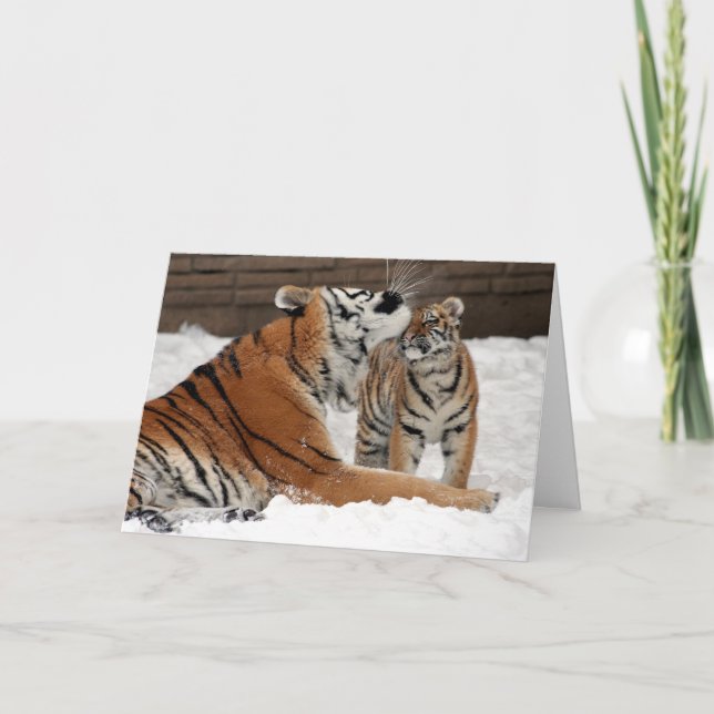 Tiger and Cub Mothers Day Card (Front)