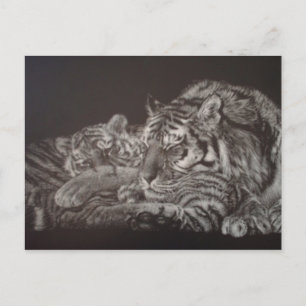 Tiger and Cub Postcard