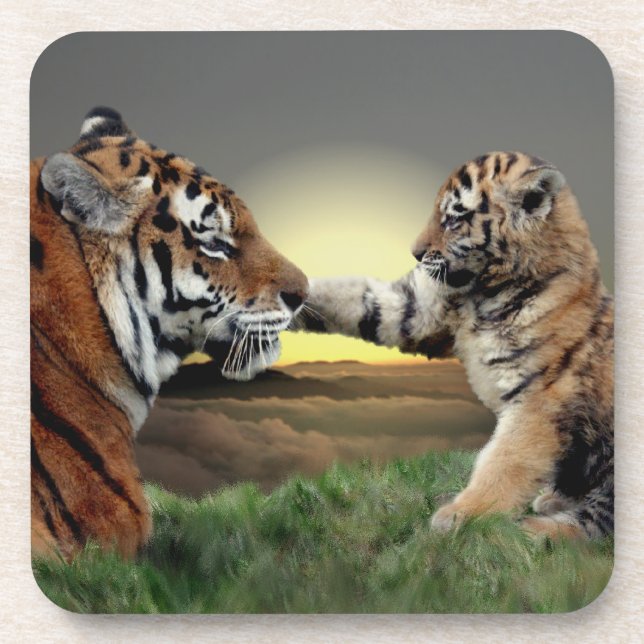 Tiger and Cub Set of 6 Coasters (Front)