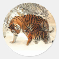 Tiger and Cub, Winter Scene,