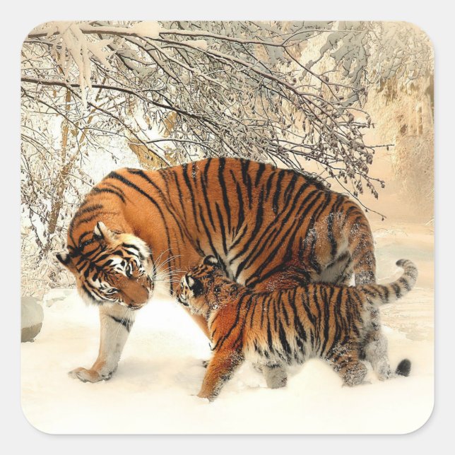 Tiger and Cub, Winter Scene, Square Sticker (Front)