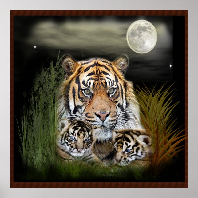 Tiger and cubs poster (Front)
