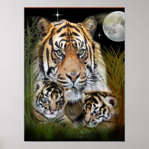 Tiger and cubs posters
