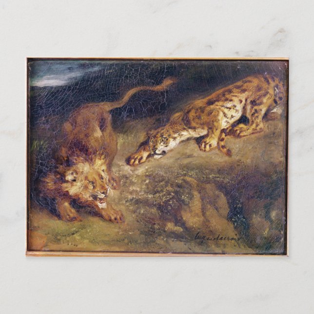 Tiger and Lion Postcard (Front)
