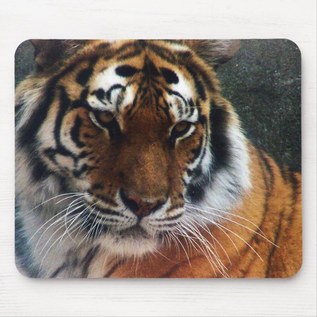 Tiger and Mouse... Mouse Pad (Front)
