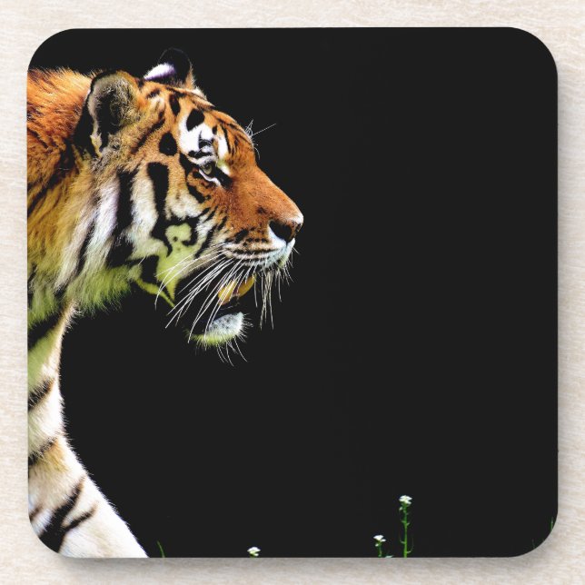 Tiger Approaching - Wild Animal Artwork Coaster (Front)