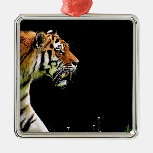 Tiger Approaching - Wild Animal Artwork Metal Tree Decoration (Front)
