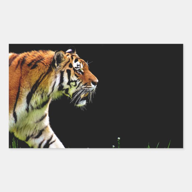 Tiger Approaching - Wild Animal Artwork Rectangular Sticker (Front)