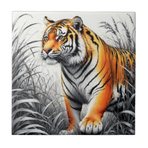 Tiger Art Colour Partial Black White Drawing