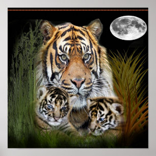 Tiger art poster