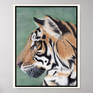 TIGER Art Print Suitable for Framing Miranda