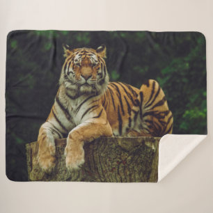 TIGER at REST Sherpa Blanket