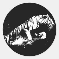 Tiger Attacking