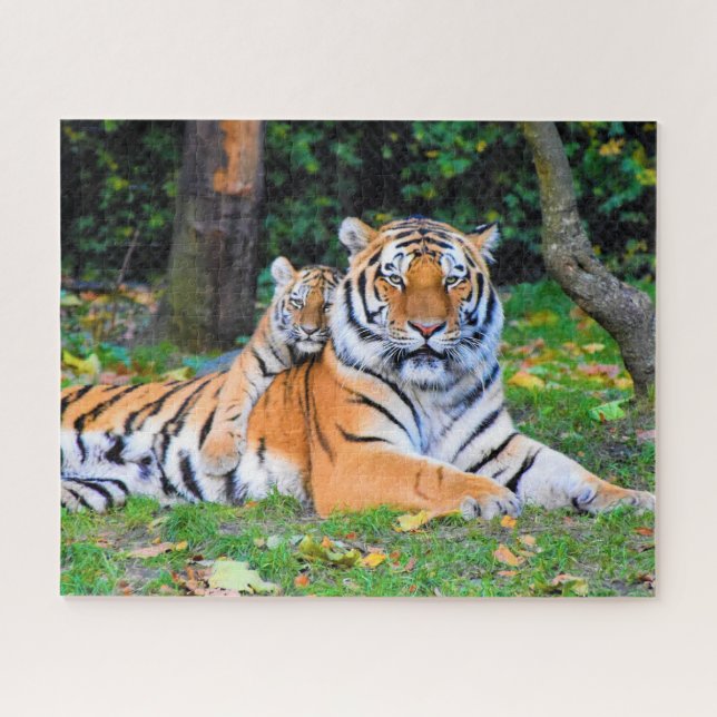 Tiger & Baby Posing Beautifully in Grass Together Jigsaw Puzzle (Horizontal)