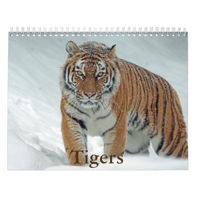 Tiger Calendar (Cover)