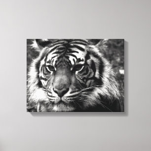Tiger Canvas Print