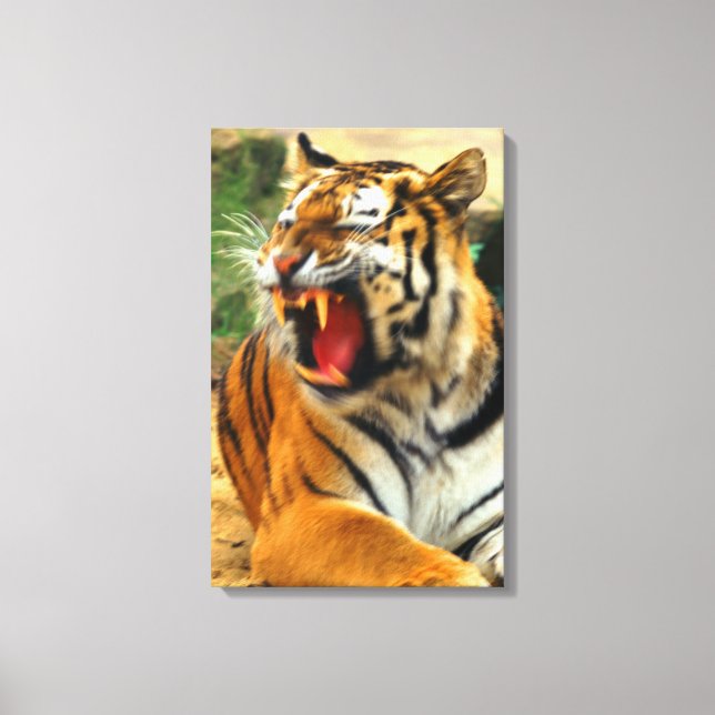 tiger canvas print (Front)