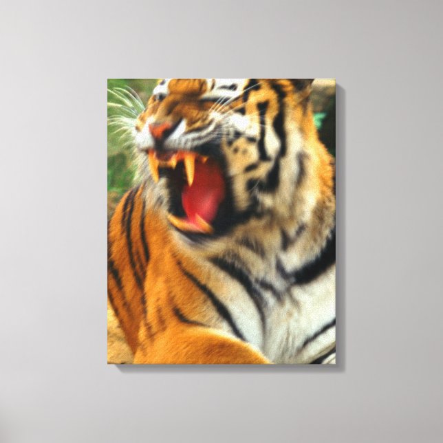 tiger canvas print (Front)