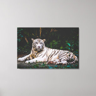 Tiger Canvas Print