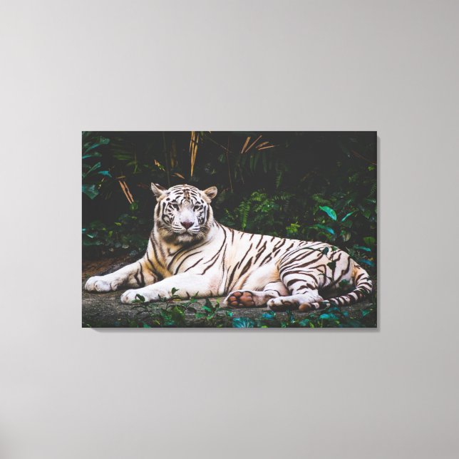 Tiger Canvas Print (Front)