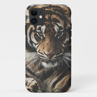 Tiger Case