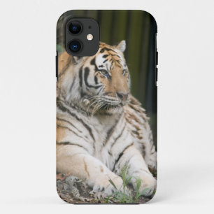 Tiger Case-Mate iPhone Case