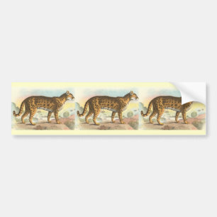 Tiger-Cat Bumper Sticker