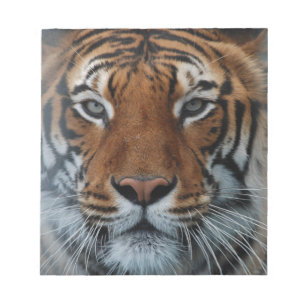 Tiger Cat Stripes Jungle Mist Animal Notepad