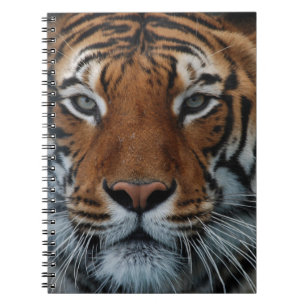 Tiger Cat Stripes Jungle Mist Animal Spiral Notebook