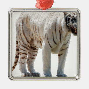 Tiger cat stripes personalise diy Anniversaries Metal Tree Decoration