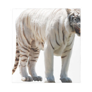 Tiger cat stripes personalise diy Anniversaries Notepad