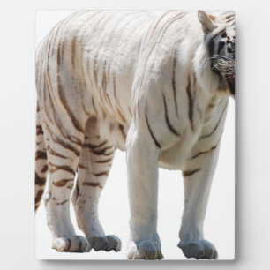 Tiger cat stripes personalise diy Anniversaries Plaque