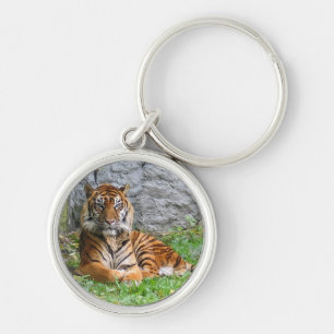 Tiger Cat Stripes Safari Jungle Pattern Animal Art Key Ring