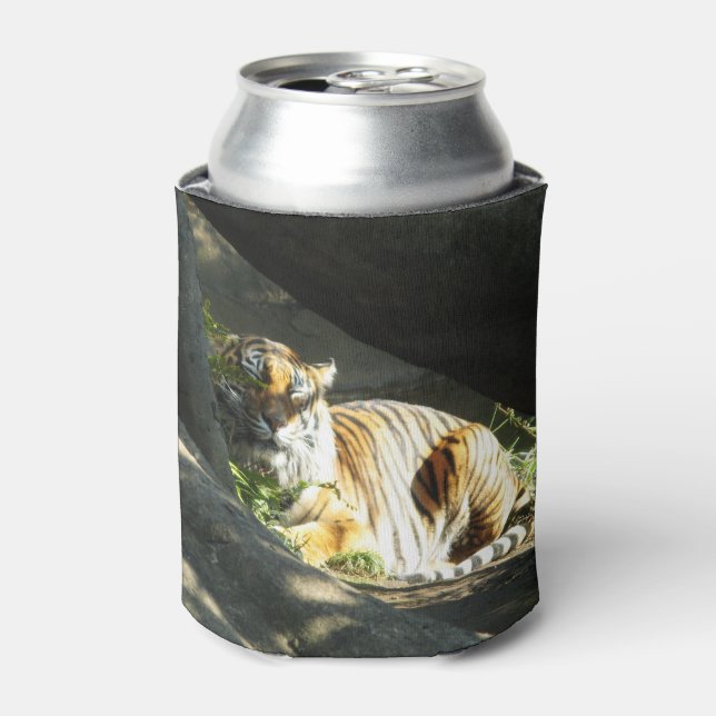 Tiger Catnap Can Cooler (Can Front)