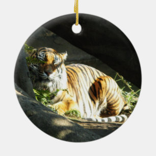Tiger Catnap Ceramic Tree Decoration