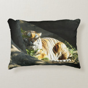 Tiger Catnap Decorative Cushion